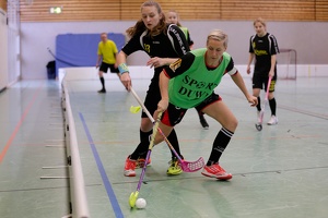 Damen KF Wahnbek 14.01.2018